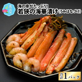 【ふるさと納税】若狭の海華漬け(うみはなづけ)｜ 海鮮漬け お中元 海鮮丼 海鮮の具 海鮮バーべキュー 冷凍 ミックス 海鮮漬け 海鮮焼き 海鮮醤油漬け 送料無料[A-022001]