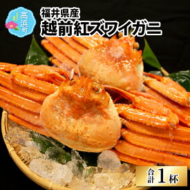 【ふるさと納税】【数量限定30個】 福井県産 越前 紅ズワイガニ ×1杯（プロトン凍結） | かに 蟹 紅ズワイ蟹 ゆで蟹 カニしゃぶ かにポーション かに鍋 ボイル 冷凍 高級 豪華 贅沢 旬 年末年始 冬季限定 送料無料 [A-022003]