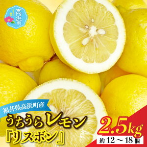 yӂ邳Ɣ[Łzys\z{Cň烌uX{2.5kgv܂ŊۂƐHׂ܂Iy12{菇z ͔|Ԓ _sgp [A-022037] Y ʏ` h sg