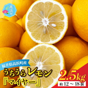 yӂ邳Ɣ[Łzys\z{Cň烌u}C[2.5kgv܂ŊۂƐHׂ܂Ii_sgpjy11{돇z[A-022038]r^~ Nx N ʏ` h 