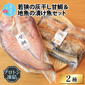 yӂ邳Ɣ[Łzዷ̊DÑ⁕n̒ЂijZbgy}Ⓚzivgj [A-022030]|lߍ킹 Mtg C Zbg  Ⓚ vgⓀ   т̂ 