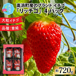 yӂ邳Ɣ[Łzys\zIׂI 䌧lỸuhyb`Sz720gbʕ  t[c fU[g XC[c   C`S x 嗱 Mtg 蕨
