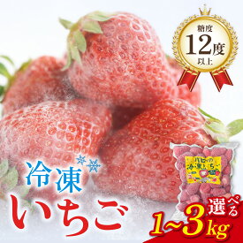 【ふるさと納税】糖度12度以上！ あきひめ 冷凍 【容量選べる】いちご農園のブランド苺【リッチゴ】( 冷凍いちご ) 1kg～3kg｜果物 青果 フルーツ デザート スイーツ 苺 いちご イチゴ 糖度 大粒 ギフト 贈り物 ブランド 国産 福井県 甘い 送料無料 冷凍 フローズン