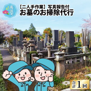 yӂ邳Ɣ[Łẑ|silƁjʐ^񍐕t [B-012002]|T[rX  |  ~ ފ s