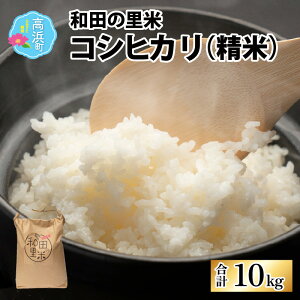 yӂ邳Ɣ[Łzyߘa7NYzs\ ac̗ RVqJ  10kg |ӂ邳Ɣ[  䌧 l  ˂̒n     ͂   ܂ ӂ邳 lC 