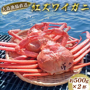 yӂ邳Ɣ[ŁzʌI䌧̑哇y{CⓀzxjYCKji500gj×2t  I Jj 킢I 킢Kj