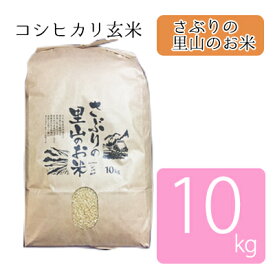 【ふるさと納税】さぶりの里山のお米　コシヒカリ玄米　10kg　【お米・玄米・コシヒカリ】