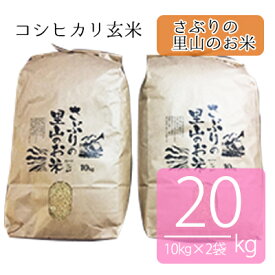 【ふるさと納税】さぶりの里山のお米　コシヒカリ玄米　10kg×2袋（20kg）　【お米・玄米・コシヒカリ】