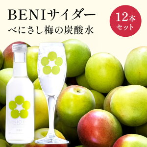 yӂ邳Ɣ[ŁzY_ BENITC_[ 12{ Zbg Y_  ~TC_[ TC_[ gf ~  E 䌧 