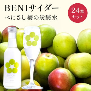 yӂ邳Ɣ[ŁzBENITC_[i~TC_[j24{Zbg ށ^Y_^TC_[  E