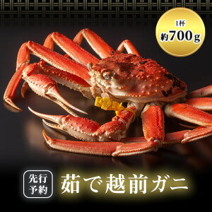 yӂ邳Ɣ[ŁzԌ 䥂 zOKj 700gȏ 1t 䥂ŃKj zOJj zOI YCKj 킢I Jj  I {CJj {CI |[V   CN   䌧 