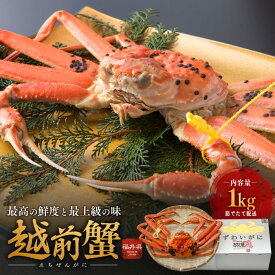 【ふるさと納税】期間限定 茹で 越前ガニ 約1kg 1杯 茹でガニ 越前カニ 越前蟹 ズワイガニ ずわい蟹 カニ かに 蟹 ボイルカニ ボイル蟹 ポーション 魚介 魚介類 海鮮 限定 福井 福井県 若狭町　お届け：2025年11月10日～2026年3月31日（年末年始を除く）