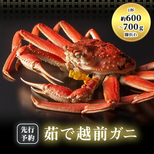 yӂ邳Ɣ[Łz󂠂 Ԍ 䥂 zOKj 600g`700g 1t r܂ 䥂ŃKj zOJj zOI YCKj  I CN  䌧 ዷ@͂F2025N1110`2026N331iN