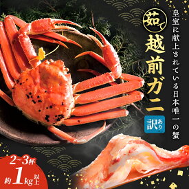 【ふるさと納税】訳あり 期間限定 茹で 越前ガニ 約1kg以上 2～3杯 食通もうなる本場の味をご堪能ください 脚折れ ズワイガニ 海鮮 福井県 若狭町　お届け：2025年11月10日～2026年3月31日（年末年始を除く）