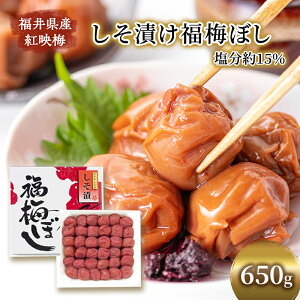 yӂ邳Ɣ[ŁzyjkVLz~ 650g Ђ~ڂ ߂ڂ ~ Ђ ~ g~ gf~ ~  E 䌧 