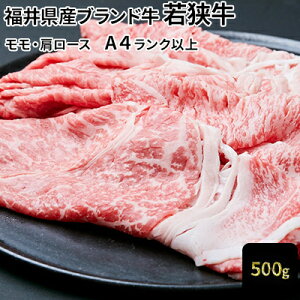 yӂ邳Ɣ[Łzዷ EXCX 500giA4Nȏj  