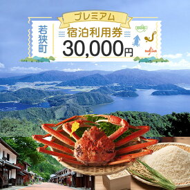 【ふるさと納税】旅行 福井県 若狭町 プレミアム 宿泊 利用券 30,000円分 1枚 宿泊補助券 ホテル 旅館 民宿 温泉 温泉宿 温泉宿泊券 1泊2食 旅行券 宿泊券 トラベル 旅行クーポン ホテル券 ギフト券 チケット 旅 福井 若狭