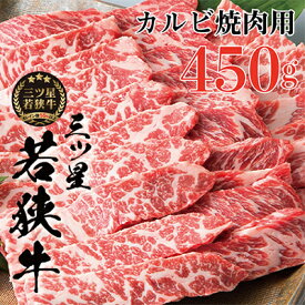 【ふるさと納税】三ツ星 若狭牛 カルビ 焼肉用 450g 高島屋 選定品 焼肉 黒毛和牛 和牛 ブランド牛 牛肉 牛 肉 お肉 ビーフ 焼き肉 BBQ バーベキュー 冷凍 冷凍配送 福井県 福井 若狭町 若狭