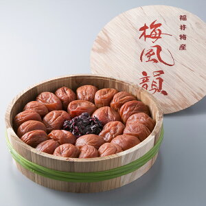 yӂ邳Ɣ[Łz~C(Д~ڂ) 500g[Iin ~