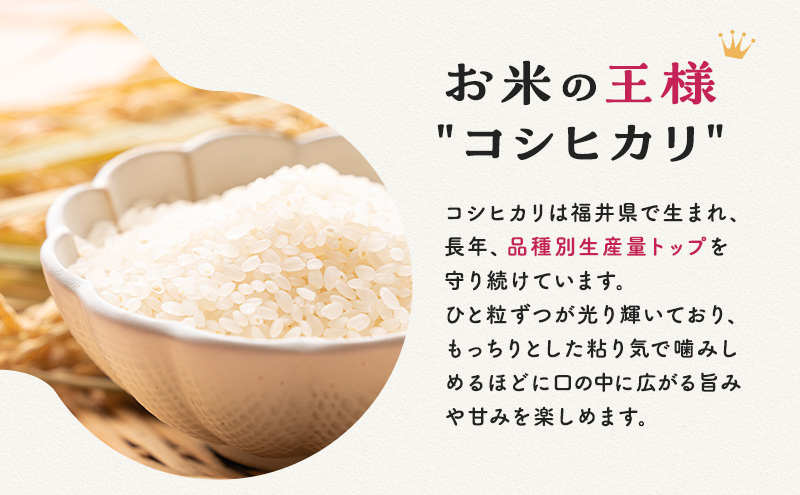 楽天市場】【ふるさと納税】米 令和5年 コシヒカリ 10kg 一等米 お米