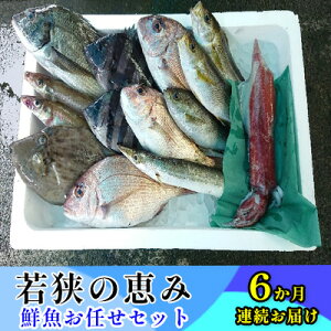yӂ邳Ɣ[ŁzNZbg  6 ዷ̌b N{bNX ނ͂C   Zbg lߍ킹   CN CNZbg 6 N y  䌧 ዷ