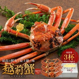 【ふるさと納税】期間限定 茹で 越前ガニ 1kg以上 3杯 食通もうなる本場の味をぜひ、ご堪能ください 越前かに 蟹 カニ かに ボイルカニ ボイル蟹 ポーション ズワイガニ 海鮮 限定 福井 福井県 若狭町　お届け：2025年11月10日～2026年3月31日（年末年始を除く）