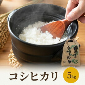 【ふるさと納税】米 令和7年 コシヒカリ 5kg 一等米 お米 おこめ こめ コメ 白米 精米 新米 ご飯 ごはん 山心ファーム 福井県 福井 　お届け：2025年10月より発送致します。