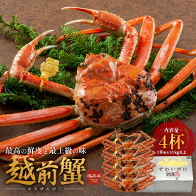 【ふるさと納税】期間限定 茹で 越前ガニ 1kg以上 4杯 食通もうなる本場の味をぜひご堪能ください 茹でガニ ズワイガニ カニ 蟹 海鮮 福井県 若狭町　お届け：2025年11月10日～2026年3月31日（年末年始を除く）