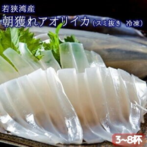yӂ邳Ɣ[Łzǂ AICJ 3`8t X~ Ⓚ ዷpY ǂꋛ CJ G  ⓀCJ CN  䌧 ዷ@͂F2025N922`2026N110l󋵂ɂďo