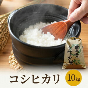 yӂ邳Ɣ[Łz ߘa7NY RVqJ 10kg    R ꓙ A a V Ђ RSt@[  䌧 ዷ@͂F2025N10菇
