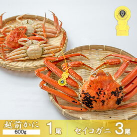 【ふるさと納税】茹で越前かに 600g×1尾 セイコガニ×3尾　【魚介類】　お届け：2024年11月10日～2024年12月25日頃