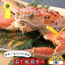 【ふるさと納税】茹で越前ガニ 極！【期間限定】食通もうなる本場の味をぜひ、ご堪能ください。約1.5kg以上（極）越前がに 越前かに 越前カニ カニ ボイルガニ ずわい蟹 ずわいガニ ズワイガニ 蟹 　お届け：2025年11月10日～2026年3月31日（年末年始を除く）
