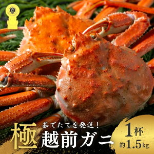 yӂ邳Ɣ[Łz䥂ŉzOKj ɁIyԌzHʂȂ{̖ЁA\B1.5kgȏiɁjzO zO zOJj Jj {CKj 킢I 킢Kj YC