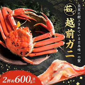 【ふるさと納税】期間限定 茹で 越前ガニ 約600g 2杯 食通もうなる本場の味をぜひ、ご堪能ください 越前かに 蟹 カニ かに ボイルカニ ボイル蟹 ポーション ズワイガニ 海鮮 限定 福井 福井県 若狭町　お届け：2025年11月10日～2026年3月31日（年末年始を除く）