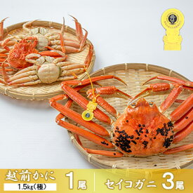 【ふるさと納税】茹で越前ガニ【期間限定】食通もうなる本場の味をぜひ、ご堪能ください。セイコガニセット 約1.5kg（極）＋セイコガニ3杯 越前がに 越前かに 越前カニ カニ ボイルガニ 蟹 　お届け：2025年11月10日～2025年12月25日頃