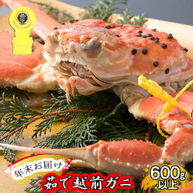 【ふるさと納税】茹で 越前ガニ 約600g以上 1杯 年末配送 食通もうなる本場の味をぜひ、ご堪能ください 越前かに 蟹 カニ かに ボイルカニ ボイル蟹 ポーション ズワイガニ ずわい蟹 海鮮 福井 福井県 若狭町　お届け：2025年12月28日～30日
