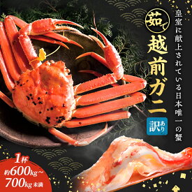 【ふるさと納税】訳あり 茹で 越前ガニ 約600g～700g未満 1杯 年末配送 食通もうなる本場の味をぜひ、ご堪能ください 越前かに 蟹 カニ かに ボイルカニ ボイル蟹 ポーション ズワイガニ 海鮮 脚折れ 訳アリ 福井 福井県 若狭町　お届け：2025年12月28日～30日