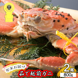 【ふるさと納税】茹で 越前ガニ 約800g 2杯 年末配送 食通もうなる本場の味をぜひ、ご堪能ください 越前かに 蟹 カニ かに ボイルカニ ボイル蟹 ポーション ズワイガニ ずわい蟹 海鮮 福井 福井県 若狭町　お届け：2025年12月28日～30日