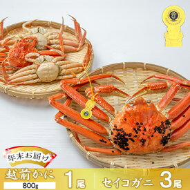 【ふるさと納税】茹で越前ガニ【年末お届け】食通もうなる本場の味をぜひ、ご堪能ください。越前ガニ 約800g＋セイコガニ3杯 越前がに 越前かに 越前カニ カニ ボイルガニ 蟹 　お届け：2025年12月28日～30日