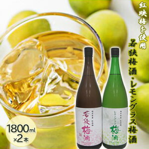 yӂ邳Ɣ[Łz䌧Y gf~gp ዷ~AOX~i1800mlj 2{Zbg@  m L[ L[