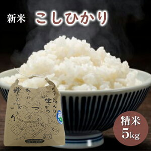 yӂ邳Ɣ[Łzys\zЂ5kgiߘa7NxYjʍ͔|ā@ዷEVR_  \ H  _ w엿 @͂F2025N101甭܂B