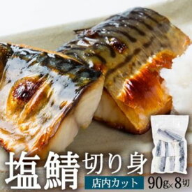 【ふるさと納税】塩さば切り身 約90g×8切れ 真空パック入　【 魚貝類 加工食品 冷凍 焼くだけ 簡単調理 朝食 朝ごはん お弁当 夕飯 おかず つまみ お酒のあて 鯖の切り身 】