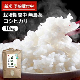 【ふるさと納税】令和5年産 栽培期間中無農薬コシヒカリ 10kg　【 お米 精米 白米 玄米 ブランド米 銘柄米 ご飯 おにぎり お弁当 和食 産地直送 粘り 香り 旨み つや 】　お届け：2023年9月下旬～2024年8月31日