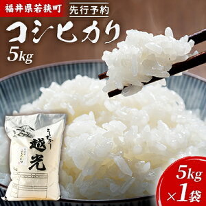 yӂ邳Ɣ[Łzߘa6NY䌧ዷRVqJiꓙāj5kgi_J_j 5kg×1  uh   ɂ ٓ Yn aH H @͂F2025N10ȍ~