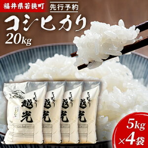yӂ邳Ɣ[Łzߘa6NY䌧ዷRVqJiꓙāj20kgi_J_j 5kg×4  uh   ɂ ٓ Yn aH H @͂F2025N10ȍ~