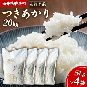 yӂ邳Ɣ[Łzߘa6NY䌧ዷiꓙāj20kgi_J_j 5kg×4  uh   ɂ ٓ Yn aH H @͂F2025N10ȍ~