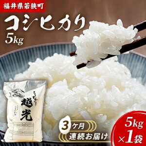 yӂ邳Ɣ[Łz3PA 䌧ዷ RVqJ iꓙāj 5kgi_J_j  uh   ɂ ٓ Yn aH H @͂F2025N10菇oגv