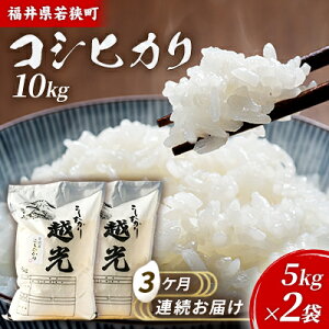 yӂ邳Ɣ[Łz3PA 䌧ዷ RVqJ iꓙāj 10kgi5kg×2ji_J_j  uh   ɂ ٓ Yn aH H @͂F2025N10菇o