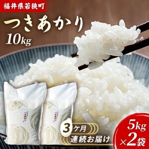 yӂ邳Ɣ[Łz3PA 䌧ዷ  iꓙāj 10kgi5kg×2ji_J_j  uh   ɂ ٓ Yn aH H @͂F2025N10菇o