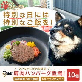【ふるさと納税】鹿肉ドッグフード　鹿肉ハンバーグ（犬用）　10個（約50g×10個） 加工食品 お肉 家族 健康 食事 大切 ペット 自然 新鮮 動物 高品質 安心 安全 国産 子犬 老犬 栄養 小分け